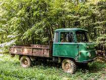 Ein vergessener Robur D300 am Rande eines Waldes. Aufnahmedatum: 10.08.2014