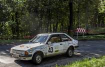 Ford Fiesta. Foto: 48. Mecsek Rallye am 18.10.2014