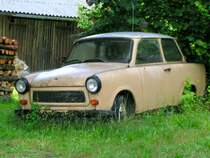 Trabbi fristet in der Botanik seiner Zukunft entgegen _070616