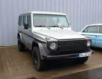 MB 300TD, gesehen auf der Technorama 2015 in Kassel, März 2015