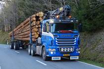 . Scania R 620 mit Langholz beladen gesehen am 22.04.2015. 