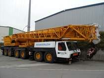 Grove GMK 6300 bei Colmar/Berg (Lux.) am 04.01.2009