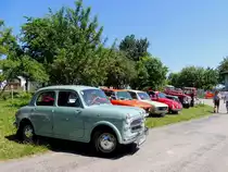 STEYR-FIAT 1100, verlässt eine kleine Oldtimerveranstaltung; 150604