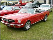 Ford Mustang Cabrio, fotografiert am 21.09.2008 