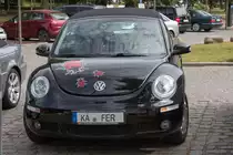 Käfer Liebhaber mit einem Herz für kleine Krabbler. - 17.06.2015