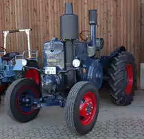 Pampa, gesehen beim Ortsjubiläum von Eiterfeld-Großentaft im Juni 2015