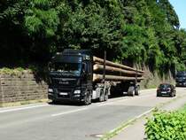 MAN TGX Holztransport am 10.07.15 bei Neckargemünd 