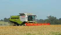 Claas LEXION 760 Mähdrescher im Ernteeinsatz am 11.07.2015 bei Zeitz.