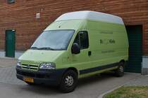 . Citron Jumper, gesehen am 14.07.2015