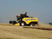 New Holland CX am 17.07.15 bei Maintal-Hochstadt beim Weizen Dreschen