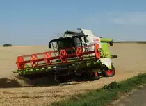 Claas Lexion 630 am 17.07.15 bei Maintal-Hochstadt beim Weizen Dreschen