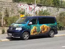 VW T5 am 23.07.2015 in Chemnitz.