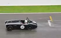 Austin Healey 100 M, beim Gentle Drivers Trophy  Regenrennen (Spa Wetter)  beim Youngtimer Festival Spa am 19.7.2015