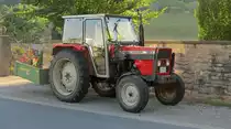 Massey-Ferguson 363 in Nassau (Baden Württemberg) Juli 2015