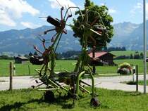Claas Kreiselschwader am 05.08.15 im Allgäu