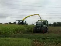 Fendt Vario 826 bei Mais Häckseln am 28.09.15 bei Großkotzenburg