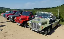 Mini und Moke-Treffen in der Ortenau, Juni 2015