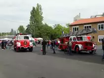 Zwei alte Schätze anno 1965 alias Magirus Deutz Hauber LF und Drehleiter am 12.09.15 beim Tag der Offenen Tür in Wiesbaden