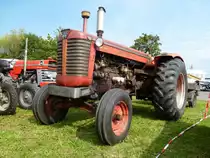 Massey Ferguson MF 97 am 12.09.2015 auf dem Schleppertreffen in Gusenburg