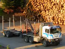 MAN-Holztransporter hat schon eine Menge Rundholz herangekarrt; 150921