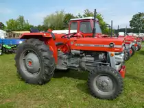 Massey Ferguson MF 133 am 12.09.2015 auf dem Schleppertreffen in Gusenburg