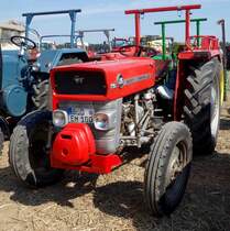 MF 135, gesehen anl. der Oldtimerausstellung Baiersröder Hof im August 2015