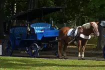. Geduldig wartet dieses Gespann in Innsbruck auf Fahrg�ste. 06.10.2015
