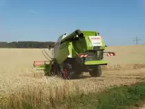 Claas Lexion 630 am 17.07.15 bei Maintal-Hochstadt beim Weizen Dreschen 