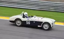 Nr.56, AUSTIN-HEALEY 100M, Bj.1955, 2660ccm, Fahrer: NYBLÆUS Nils-Fredrik (SW) bei der Woodcote Trophy & Stirling Moss Trophy [Motor Racing Legends] SPA SIX HOURS 19.September 2015