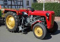 MF 35, gesehen bei der 2015er Oldtimerausstellung in Pferdsdorf/Thüringen, 08/2015