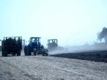 Hier stellten die Rottelsdorfer Schlepperfreunde mal den Ablauf einer feldbestellung dar. Im Einsatz waren u.a. ZT300, Dutra D4K,KS07