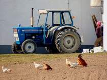 FORD-2000(Hubraum:2588cm³; Leistung: 36PS; Produktionszeitraum:1964-1975)wird auch 2015 noch verwendet; 150321