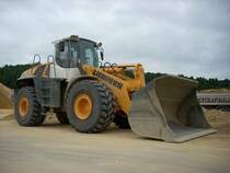 Liebherr L 576 2 plus 2 aufgenommen am 29.06.2008