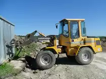 Zettelmeyer ZL 602 Serie C aufgenommen am 03.06.2010