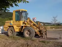 Zeppelin ZL 8B am 12.07.2015 in der Nähe von Wasserliesch