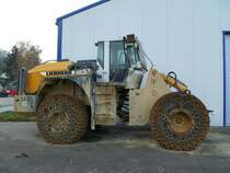 Liebherr L 564 stand am 20.11.2011 in Wellen