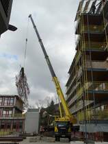 Scania LKW mit Liebherr Kranaufbau hebt in Neckargemünd gefällte Bäume am 12.02.16 