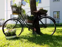 Fahrrad, älteren Semesters wurde mit Blumen geschmückt; 150604