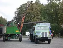 Holzverladung im Bahnhof Bertsdorf am 07.10.2007