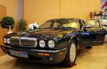 Ein Jaguar zusehn auf der Messe in Zeulenroda-Triebes Foto 14.02.16