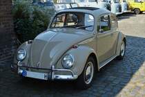 . Dieser schöne Käfer ist mir am 11.04.2016 aufgefallen.