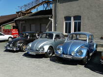 Drei VW Käfer am 07.05.16 in Darmstadt Kranichstein