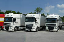 3 x DAF der Spedition MEHL stehen auf dem Rasthof Fulda Nord im Juni 2016