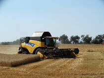 New Holland CR9070 am 20.07.16 beim Weizen Dreschen bei Niederdorfelden