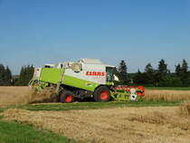 CLAAS Lexion 430 am 20.07.16 beim Weizen Dreschen bei Maintal Wachenbuchen