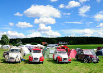 2CV  Citroen Gruppenbild, beim 7. Internationalen Deutschlandtreffen der Freunde des 2CV 2016. Mechernich Kommern 30.7.2016