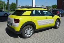 Ein kleiner, gelber Kaktus (nicht meiner), Vecses, 23.5.16