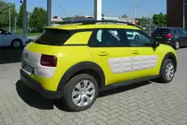 Ein kleiner, gelber Kaktus (nicht meiner), Vecses, 23.5.16