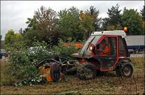 Der Schl�gelm�her mulcht den Grasschnitt und zerreist auch ohne Probleme B�sche etc. 