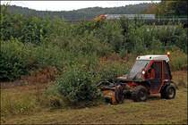 Der Schlgelmher mulcht den Grasschnitt und zerreist auch ohne Probleme Bsche etc. 